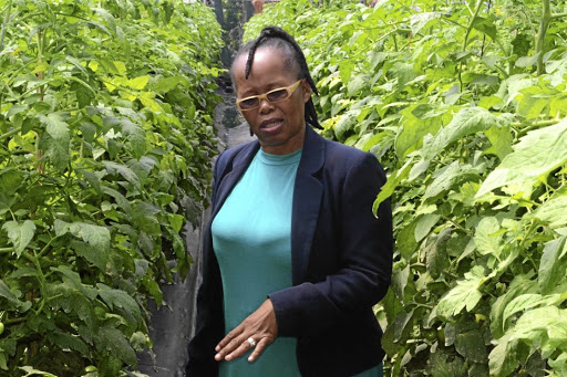 Busisiwe Molefe is the first black female farmer from KwaZulu-Natal to supply macadamias to the export market./Supplied