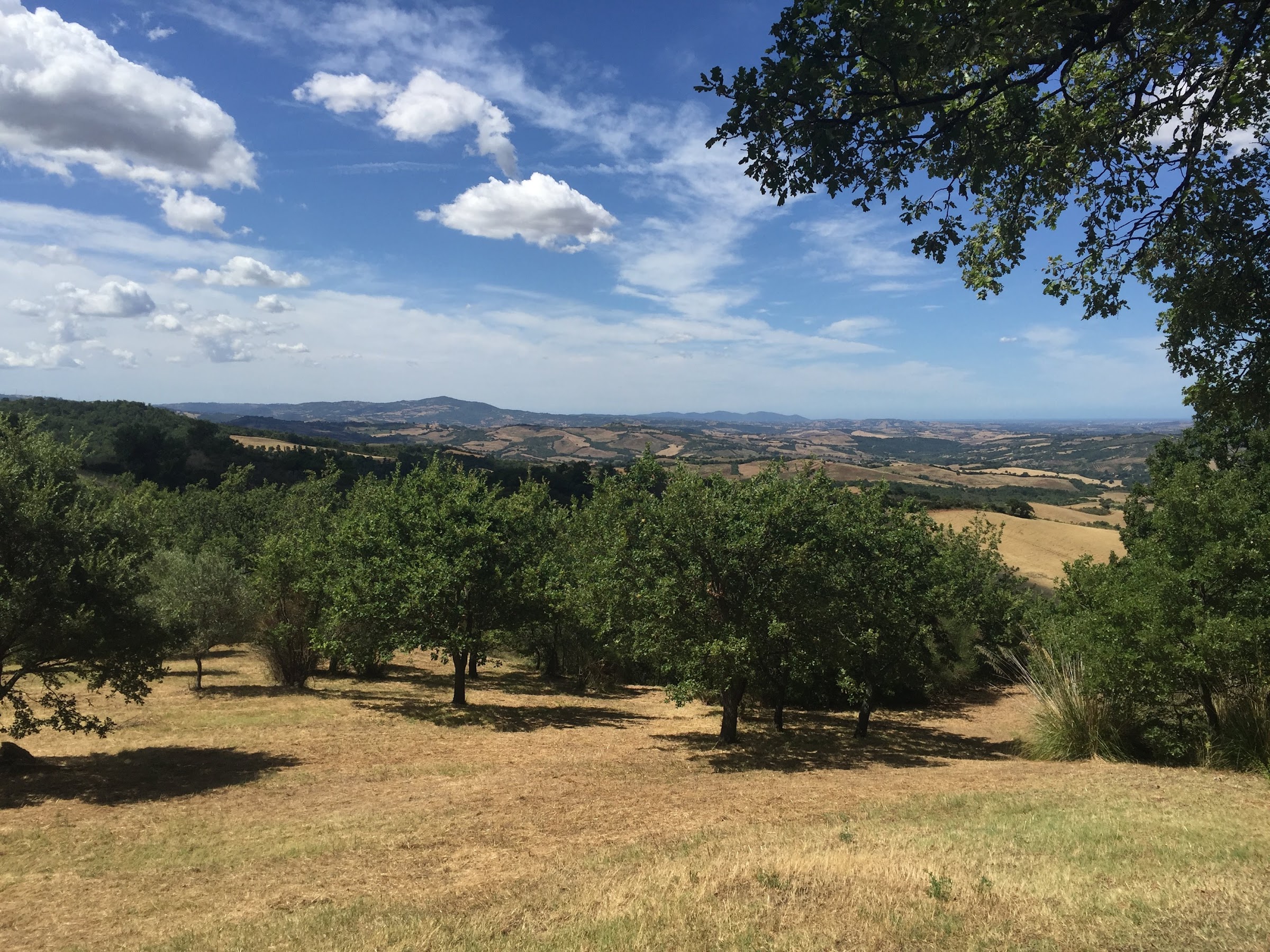 De wilde tuin van Podere Santa Pia,in het hart van de Toscaanse Maremma