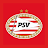 PSV icon