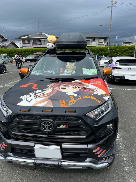 RAV4のブイカケフェス・ルーフボックス取付・ルーフボックス塗装に関するカスタム事例の投稿画像1枚目