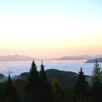 COME UN LAGO DI NEBBIA di 