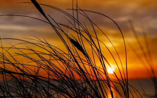 Sunset by the lake screenshot 1