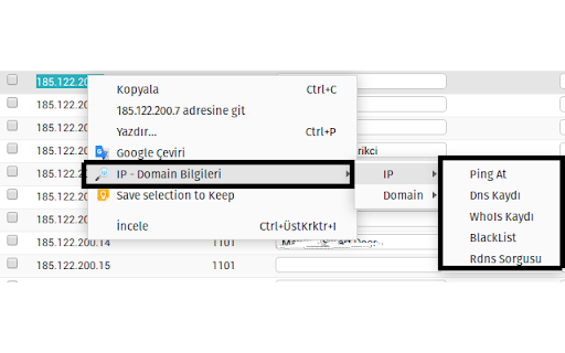 IP - Domain Bilgileri