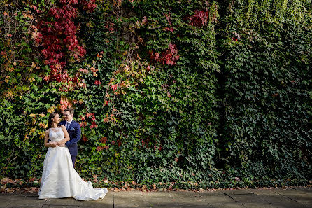 Photographe de mariage Jorge Davó Sigüenza (bigoteverdejd). Photo du 8 novembre 2017