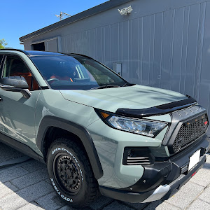 RAV4 MXAA54