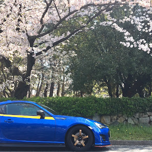 BRZ ZC6