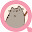 Search with Pusheen Cat