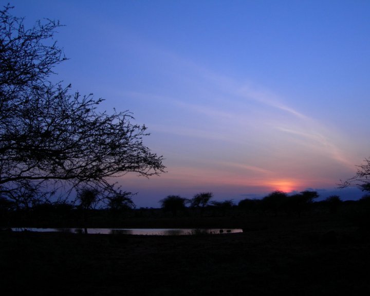 Alba nella Savana di dodoaga