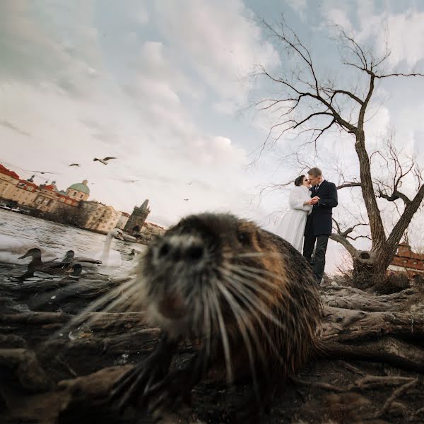 Fotógrafo de bodas Vitali Kurets (frozen). Foto del 22 de abril 2018