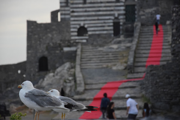 La striscia rossa di s_ornella