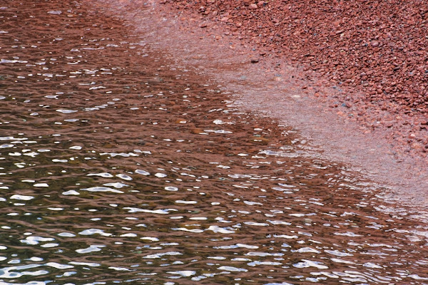 riflessi rosa di Boboparra