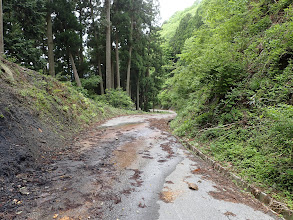 峠から車道で降りる