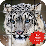Cover Image of Download Puzzle - Wild animals 1.07 APK