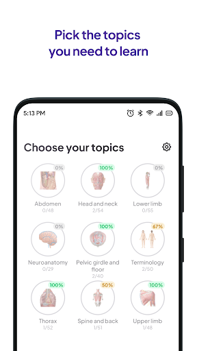 Screenshot Daily Anatomy Flashcards