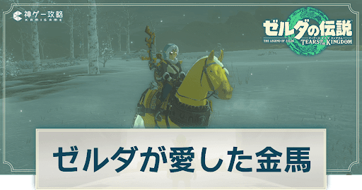 ゼルダの伝説ティアーズオブザキングダム_ゼルダが愛した金馬