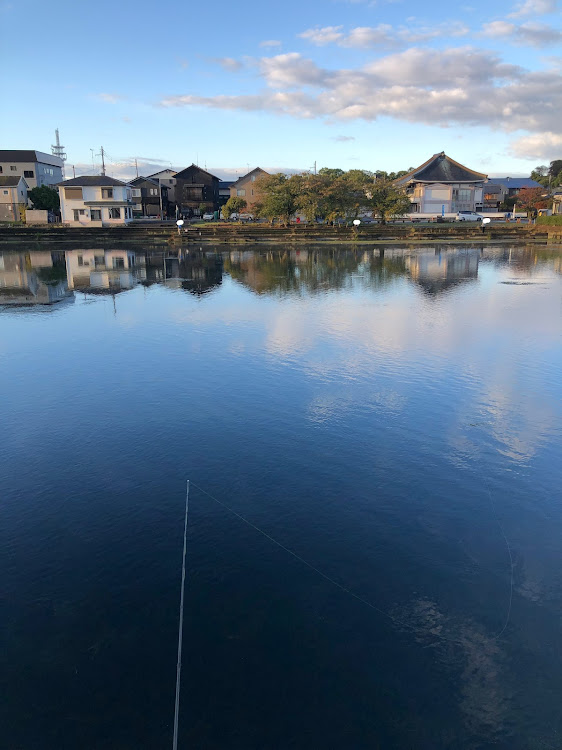 の投稿画像21枚目