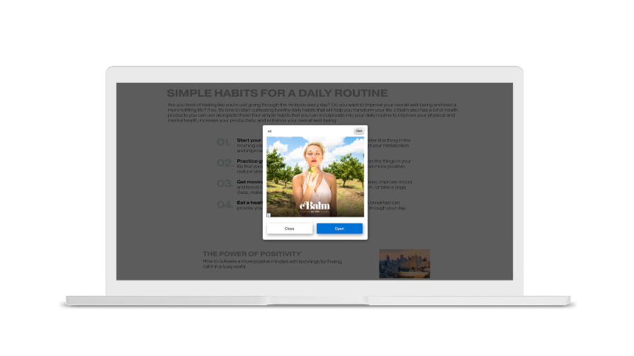 Example of a vignette ad on desktop.