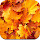 Autumn Wallpaper HD Custom New Tab