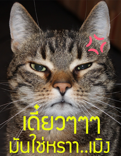 รูปภาพคอมเม้นเฟส กวนๆ ตลกๆ