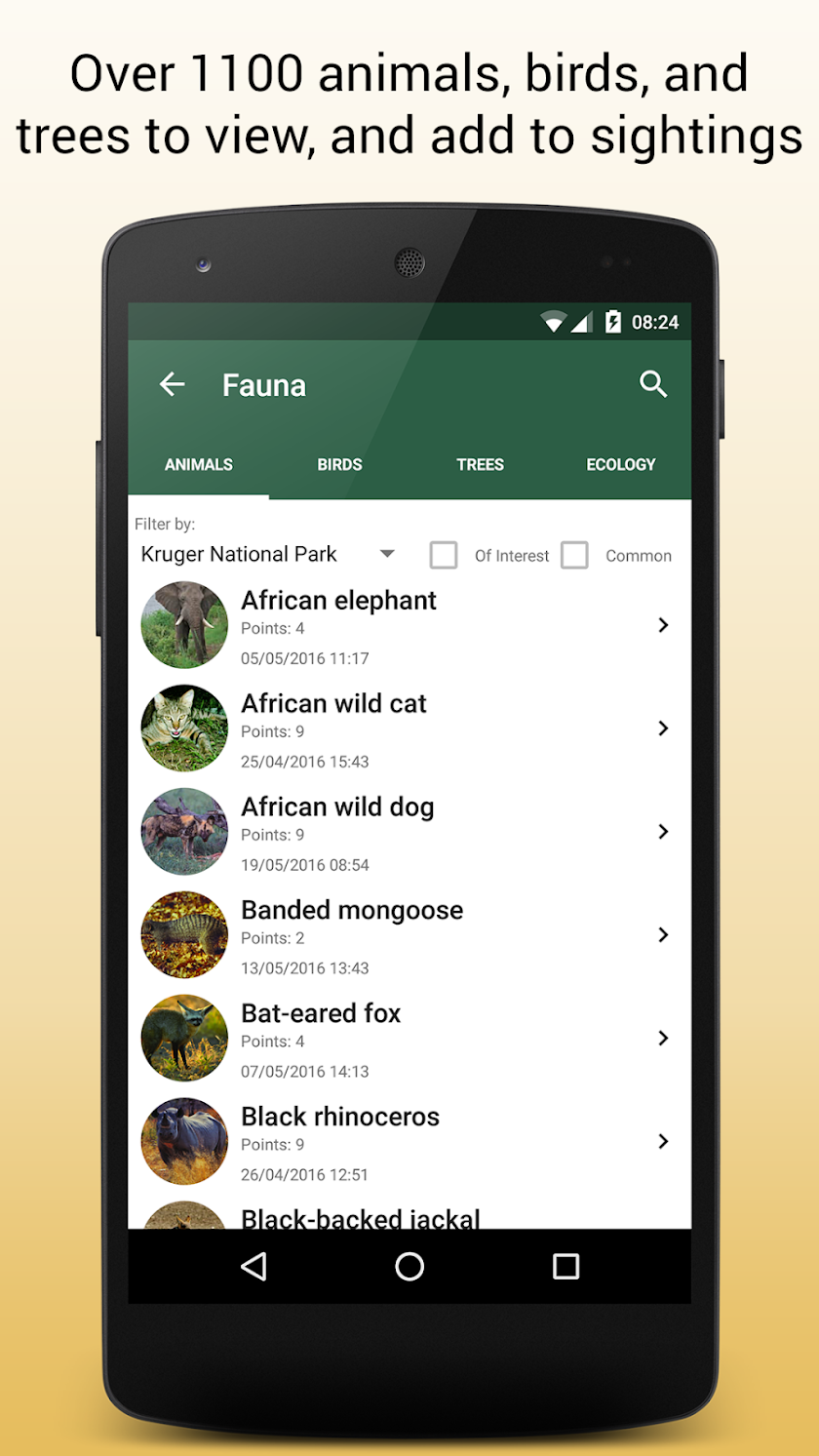 Honeyguide Screen 1