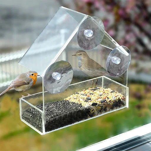 House Transparent Window Wild Bird Feeder Outdoor Removable Suction Cups Sliding Automatic Birds Feed Tray for Garden Pa