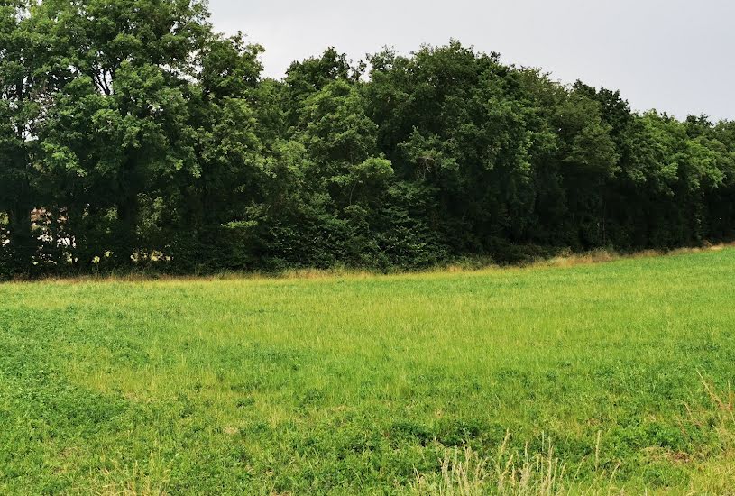  Vente Terrain à bâtir - 950m² à Loches (37600) 