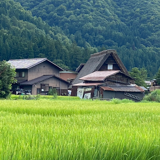 。のプロフィール画像