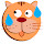 Funny Chubby Cat Exercice New Tab Theme