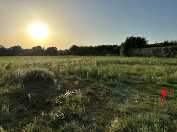 terrain à Veigné (37)