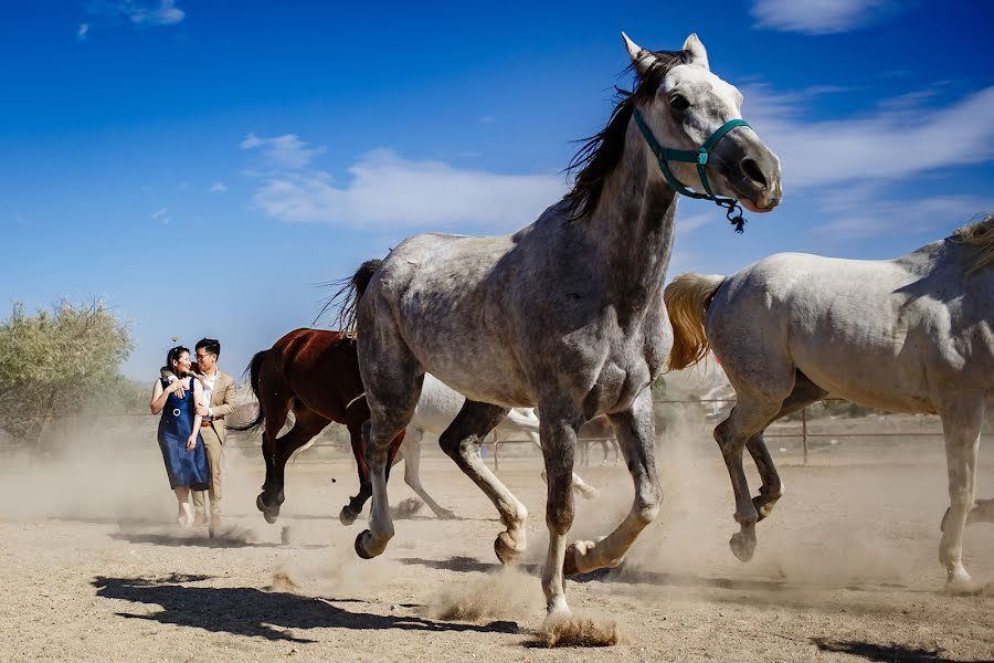 Photographe de mariage Ufuk Sarışen (ufuksarisen). Photo du 16 janvier