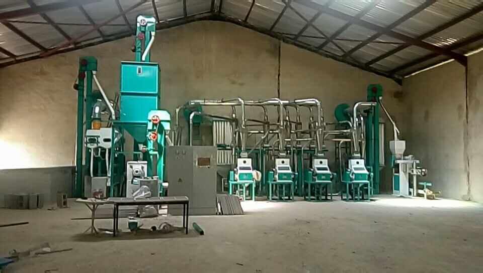 6 30T maize mill 