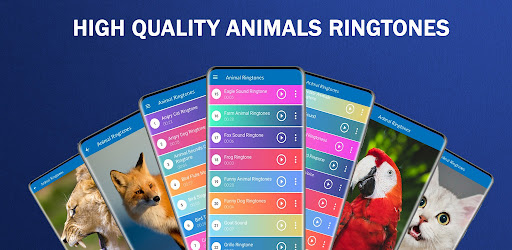 Screenshot Animal Sounds: Animal Ringtone