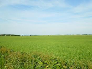 terrain à La Selle-sur-le-Bied (45)