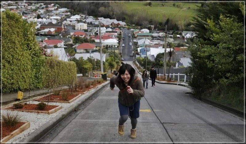 Baldwin Street, considerada a rua mais inclinada do mundo