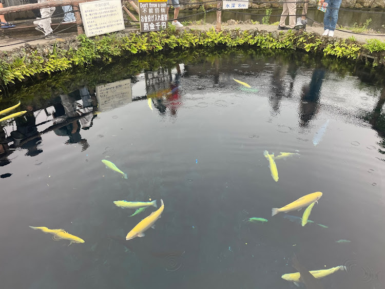 黄金のランナーさんが投稿した山梨県・山中湖ドライブ・ほうとう小作・忍野八海に関するカスタム事例の投稿画像6枚目