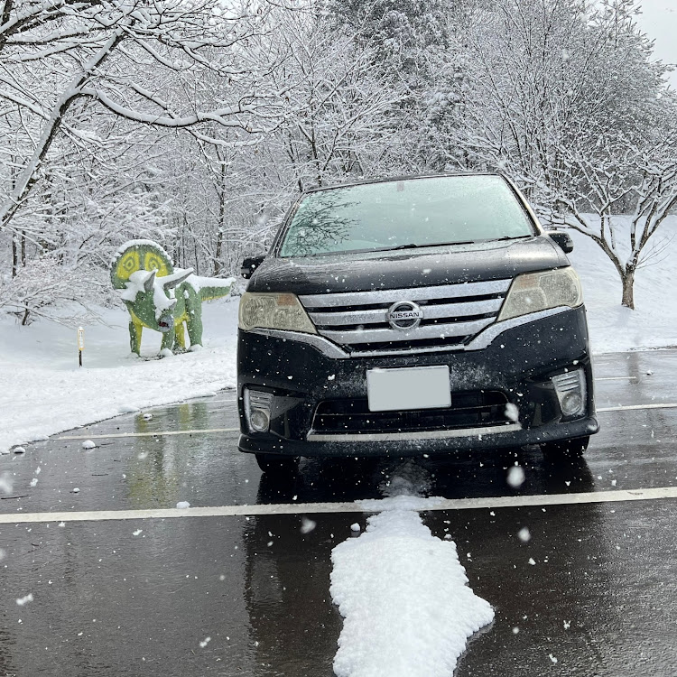 セレナのホワイトザウルス・勝山城博物館・ミニカーで再現・雪が降ったに関するカスタム事例の投稿画像3枚目