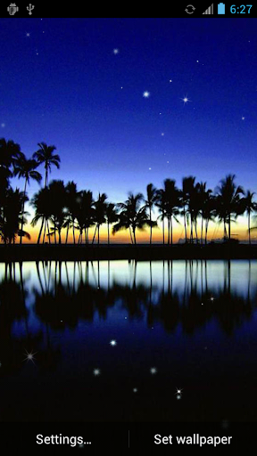 Tropical Night Live Wallpaper