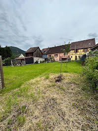 terrain à Soultzbach-les-Bains (68)