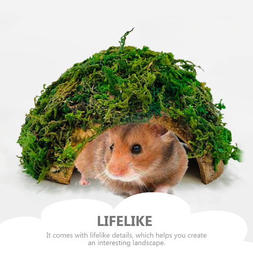images slider number - 1