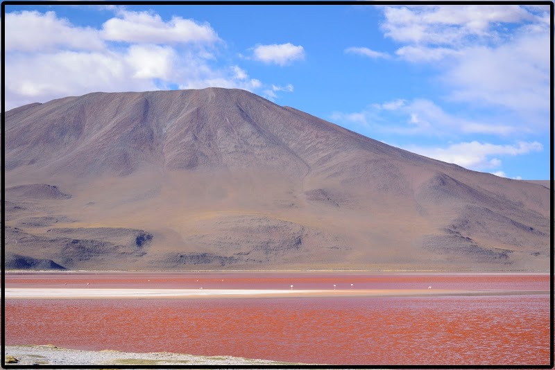 TOUR SALAR UYUNI I. EL ASOMBROSO PARQUE EDUARDO AVAROA - DE ATACAMA A LA PAZ. ROZANDO EL CIELO 2019 (30)