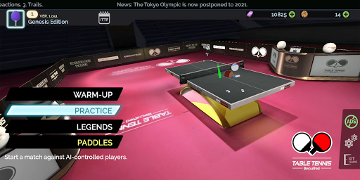 Table Tennis ReCrafted