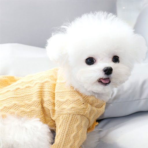 Title 9, Towable Plus Fleece Dog Clothes Winter Sweater,...