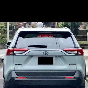 RAV4 MXAA54