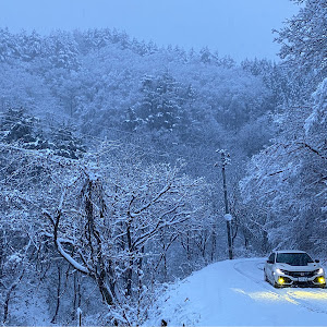 シビックタイプR FK8