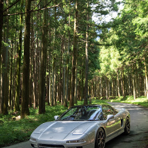 NSX NA1