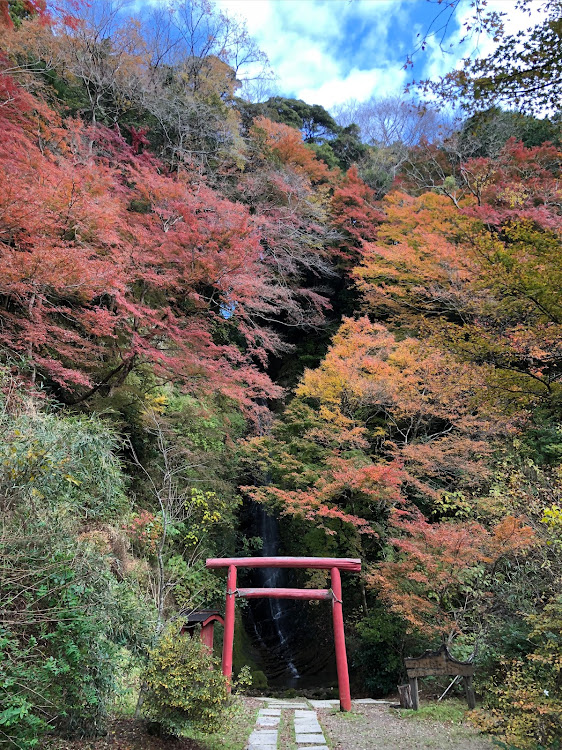 の投稿画像11枚目