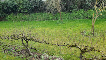 terrain à Talmont-Saint-Hilaire (85)