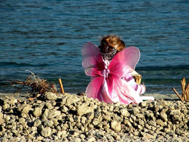 I colori nella natura di Wilmanna