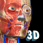 Cover Image of Herunterladen Anatomie lernen - 3D-Anatomie 2.1 APK