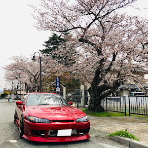 シルビア S15